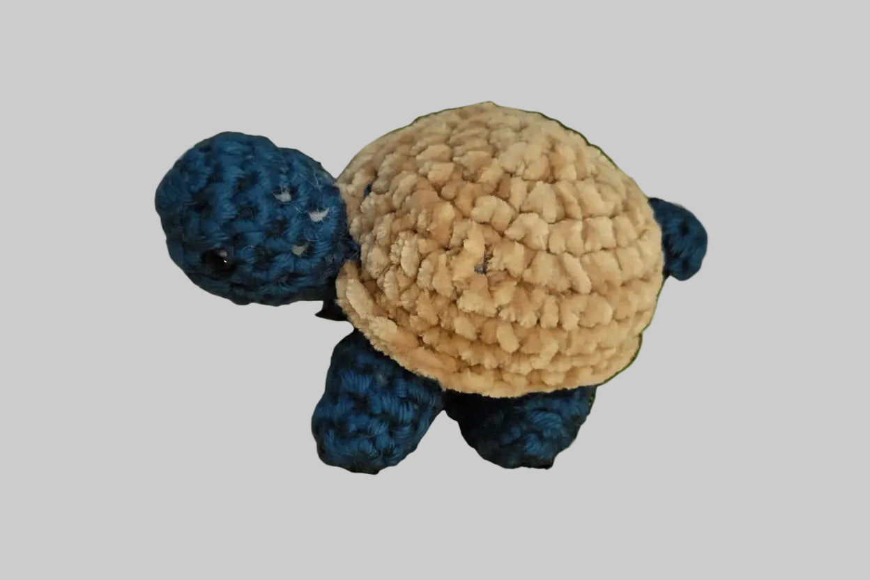 Tiny the turtle